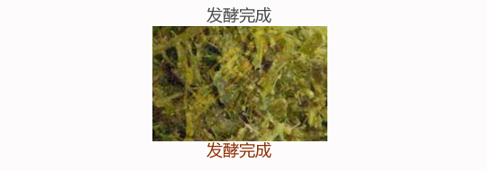 微生物发酵饲料：发酵完成